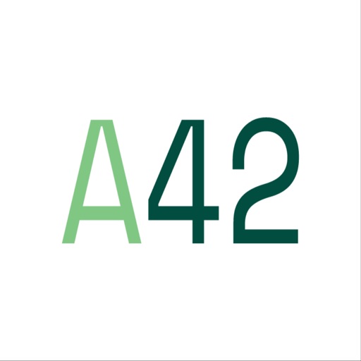 A42 Systems