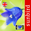 Wild Flower Id British Isles - Mullen & Pohland GbR