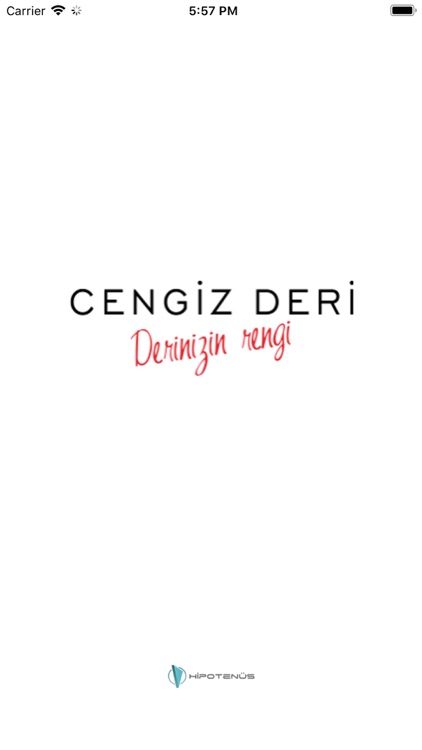 Cengiz Deri