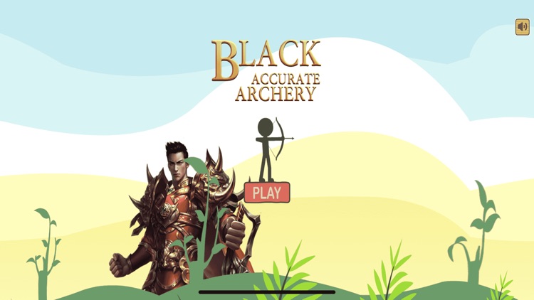 Black accurate archery