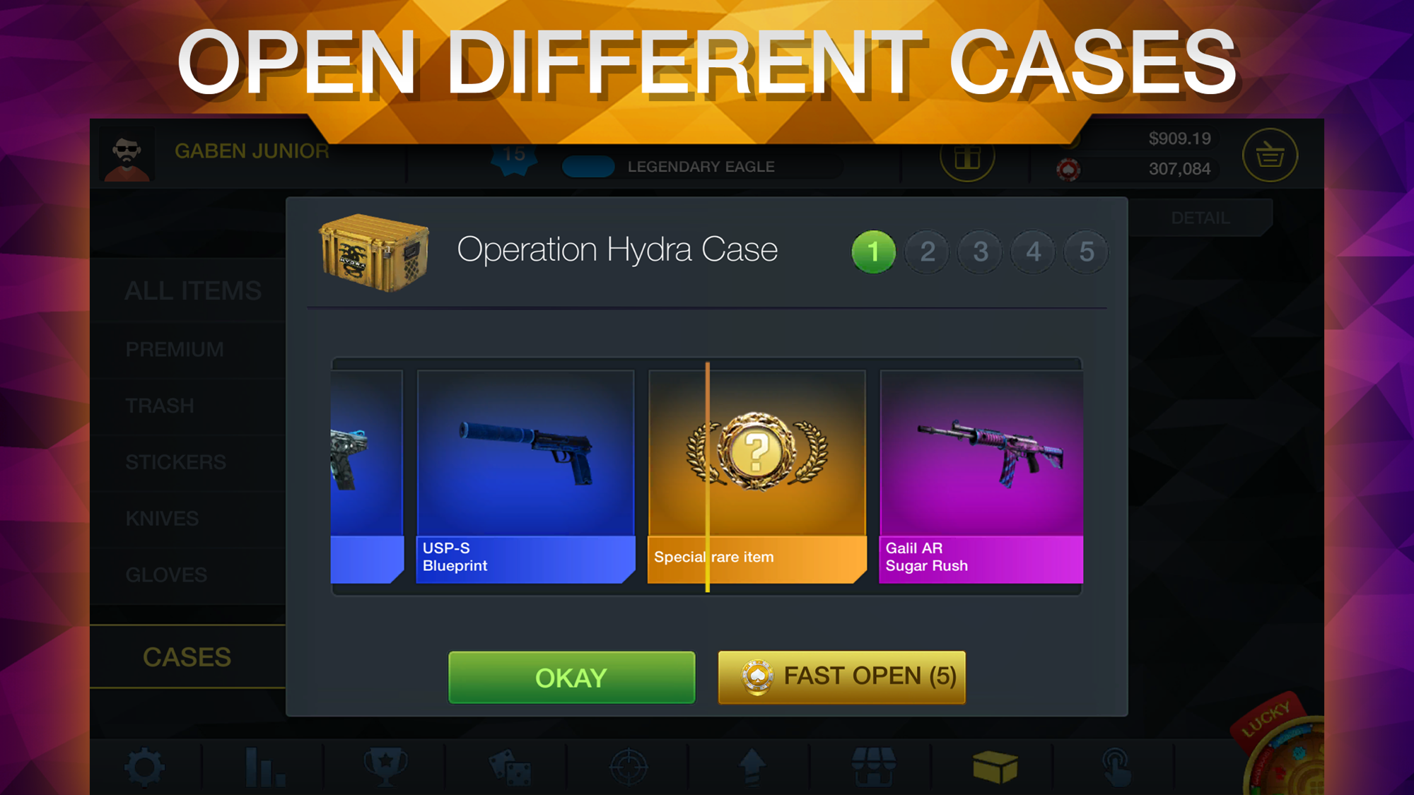 Case Chase  Featured Image for Version 