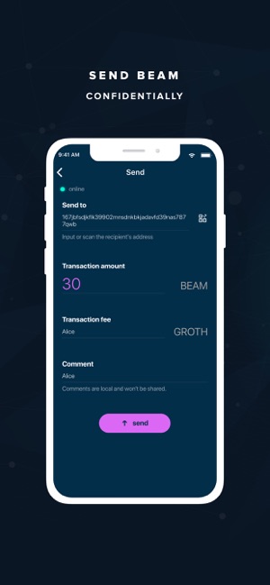 Beam Privacy Wallet(圖2)-速報App