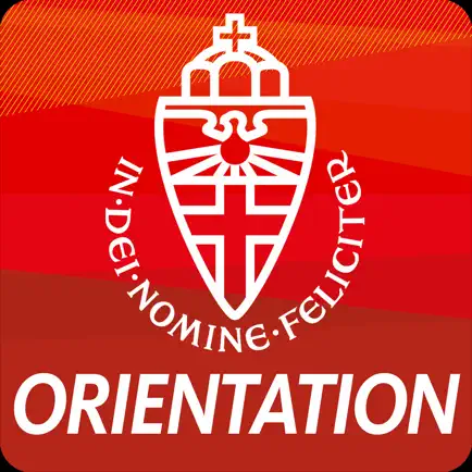 Radboud Orientation 2019 Читы