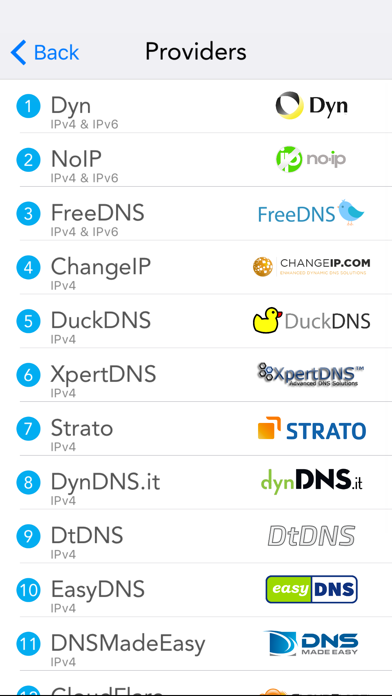RealDNS - Dynamic DNS Screenshots