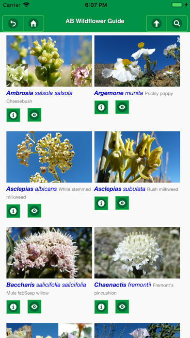 How to cancel & delete Anza-Borrego Wildflowers Lite from iphone & ipad 4