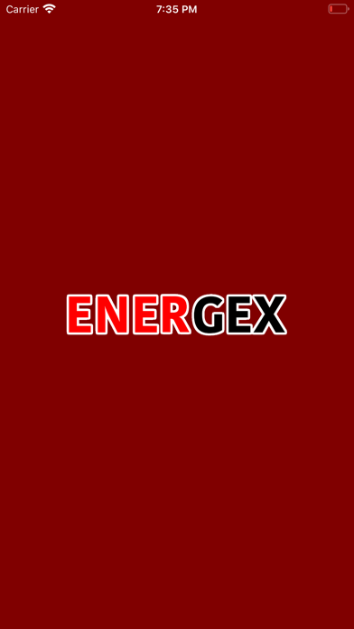 Energex - Grupo Energéticos screenshot 2