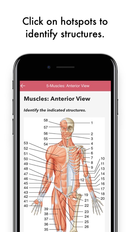 Gray's Anatomy Audio Hot Spots