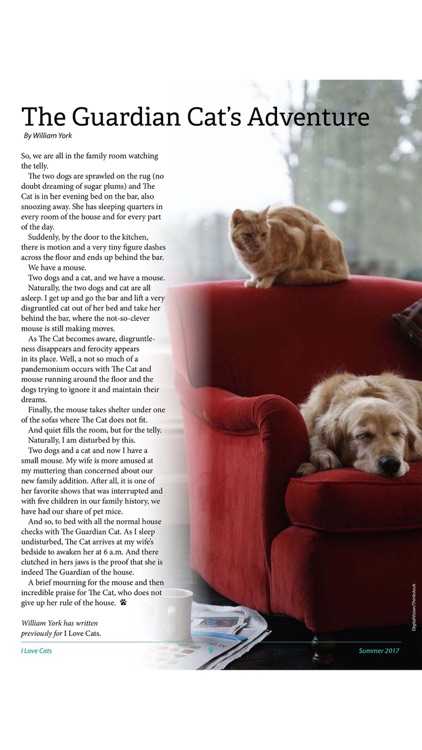 I Love Cats Magazine