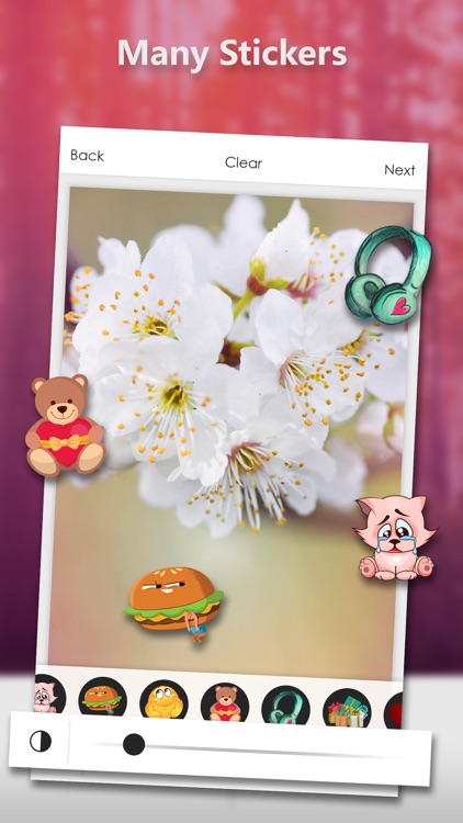 DSLR Camera - Blur Photos Make screenshot-6