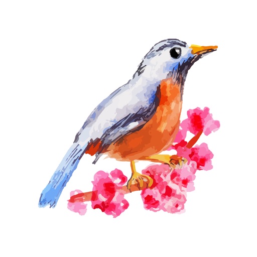 Water Color Birds