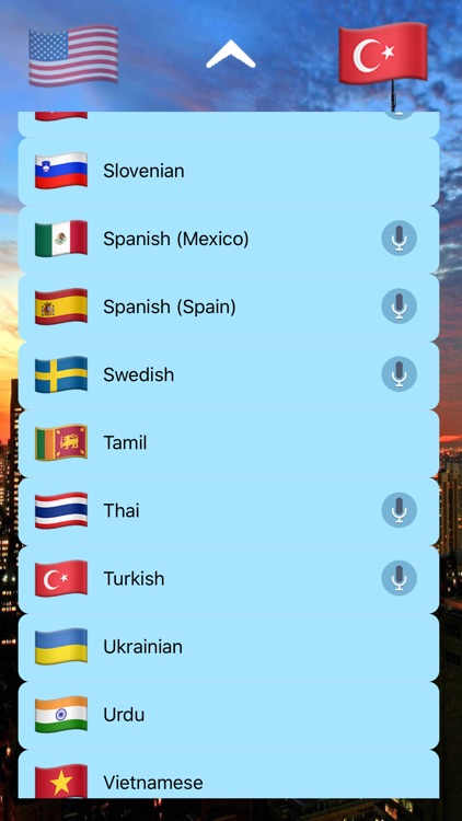 Simple Speaking Translator screenshot-6