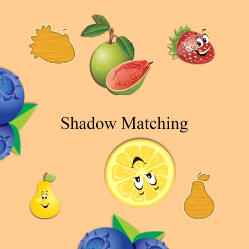 ShadowMatching-KidsFun