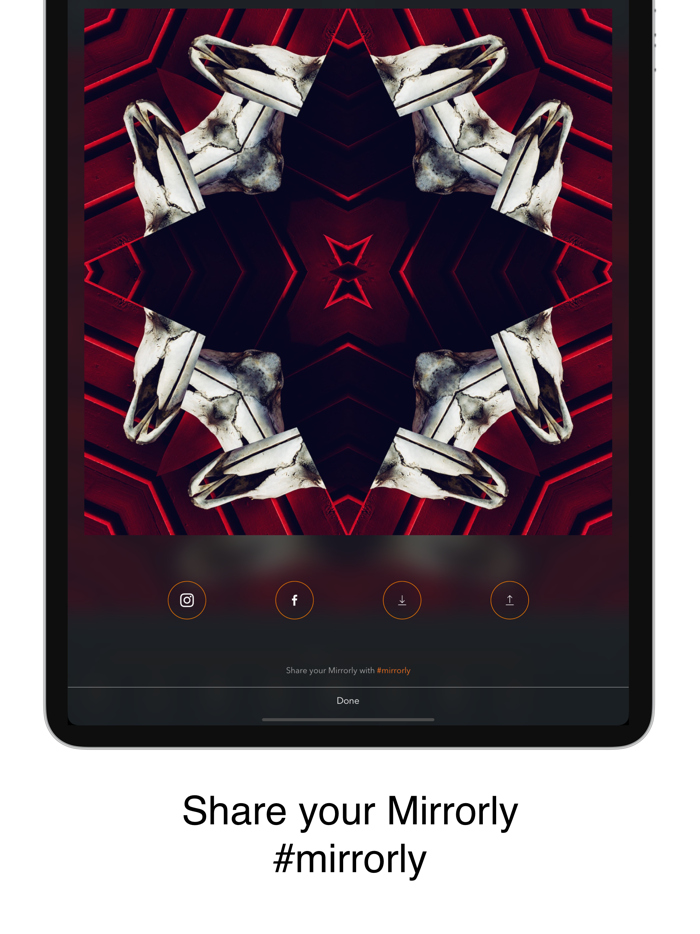Mirrorly Pro