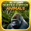 Science Match Animals