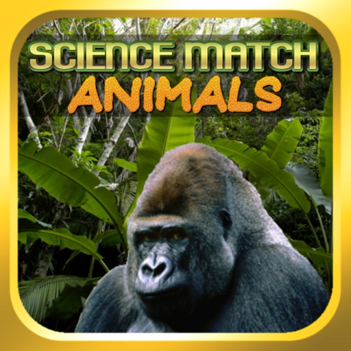 Science Match Animals