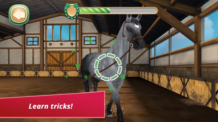 Horse Hotel - care for horses screenshot-5