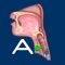 The Aspiration Disorders app helps students and patients learn and professionals teach aspiration swallowing disorders