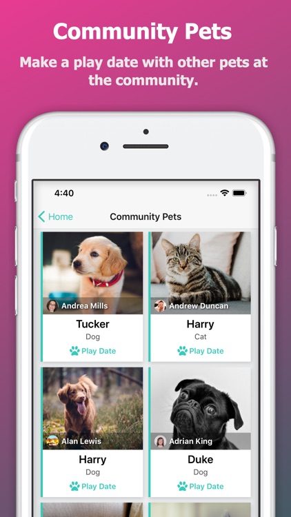 Henri Home screenshot-5