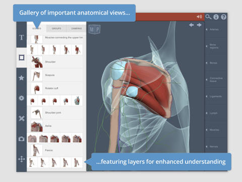 Shoulder: 3D Real-time screenshot 2