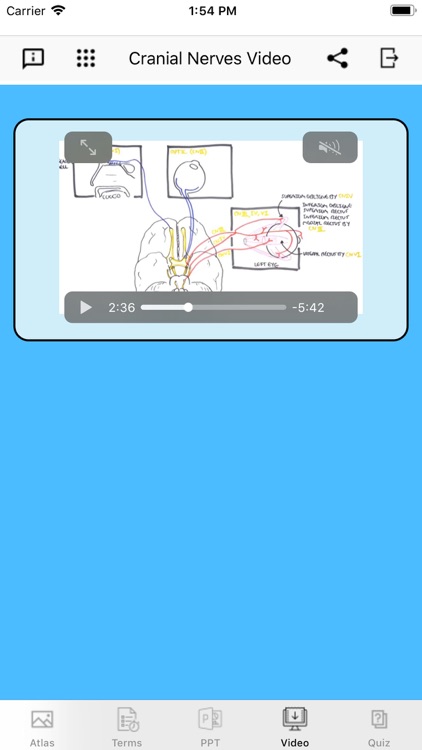 Cranial Nerves Plus screenshot-3