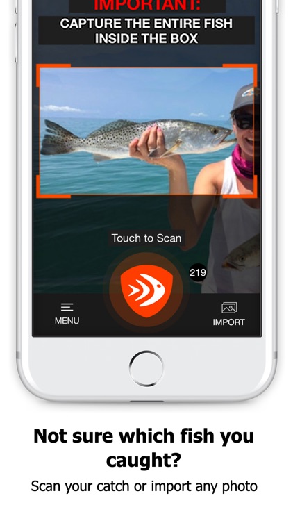 FishVerify: Florida Fish ID
