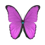 The Pastel Butterflies