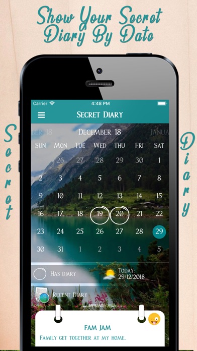 My Password Secret Diary screenshot 4