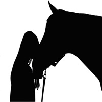 Chevaux - Quiz sur PC