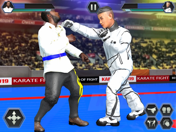 Real Karate Fight Punch 2020