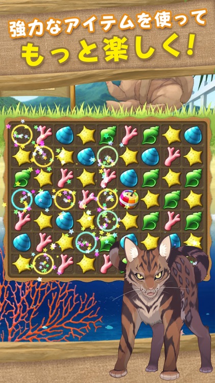 Cat Island~match 3 games~