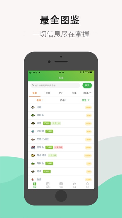 动森助手 - 森友必备图鉴指南