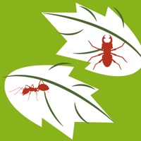 Maladies des plantes pour PC