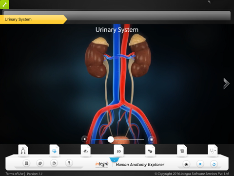 Human Anatomy - Urinary screenshot 2