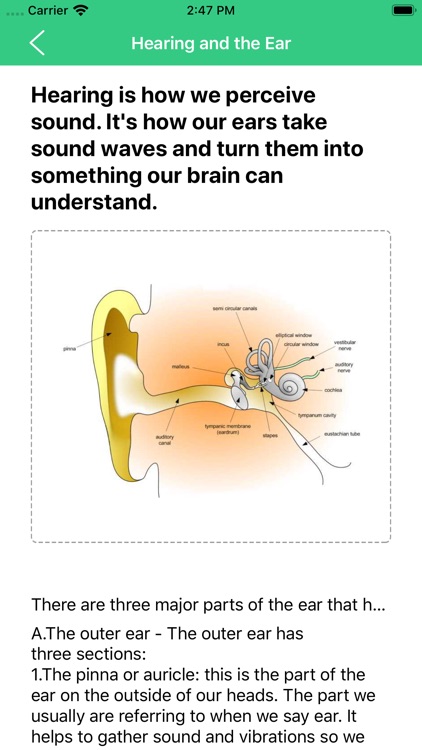 Biological-Eye Ear Nose