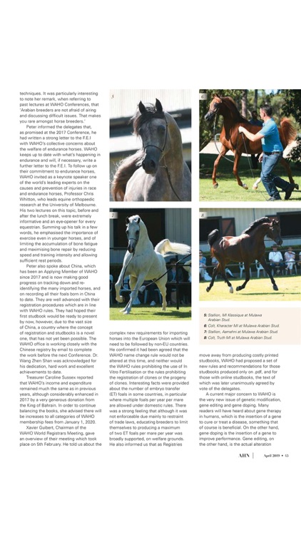 Australian Arabian Horse News screenshot-3