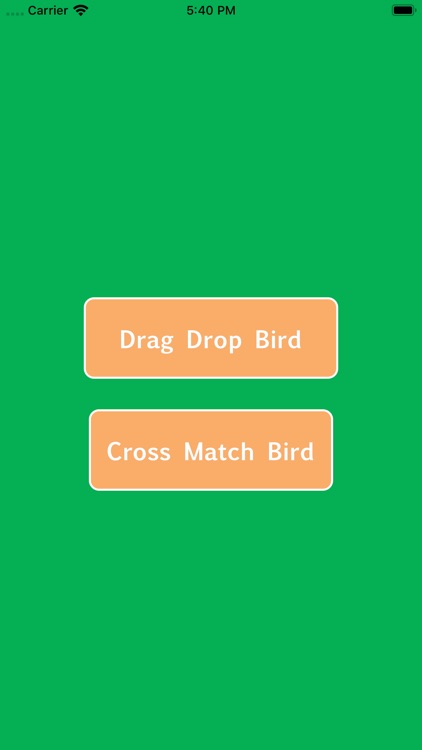 DragDropandCroosMatchBird