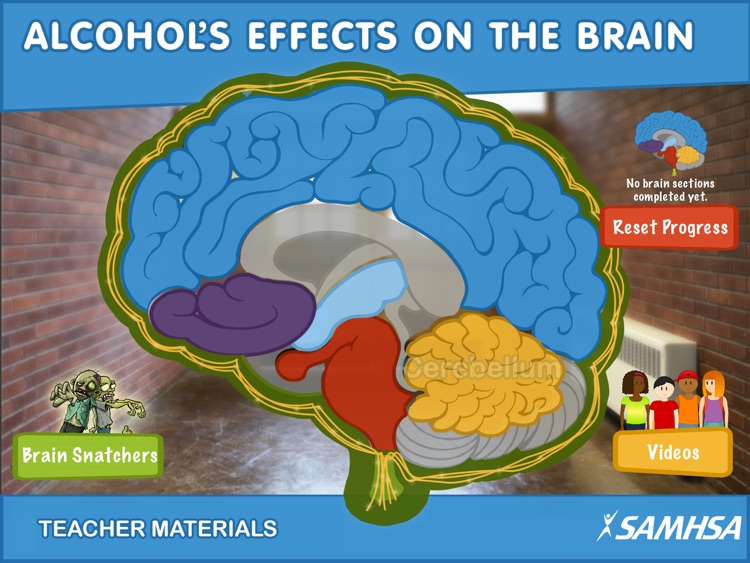 Alcohol's Effects on the Brain