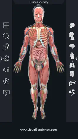 Game screenshot Human Anatomy hack