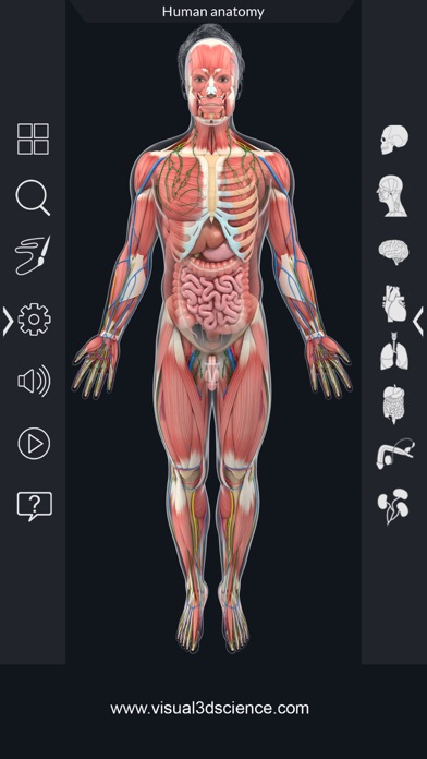 Human Anatomy screenshot 3