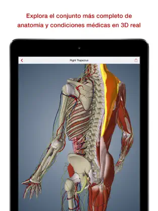 Screenshot 1 BioDigital Human - Anatomía 3D iphone