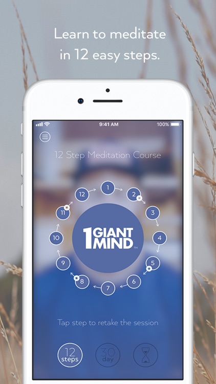 1 Giant Mind: Learn Meditation