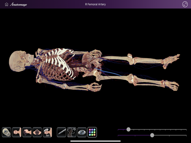 Anatomage Table Companion(圖1)-速報App