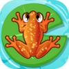 Frog Puzzle - 3 Chapter