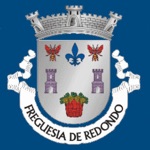 Redondo Mobile