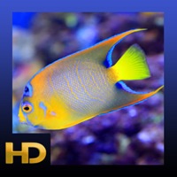 Peaceful Aquarium HD pour PC