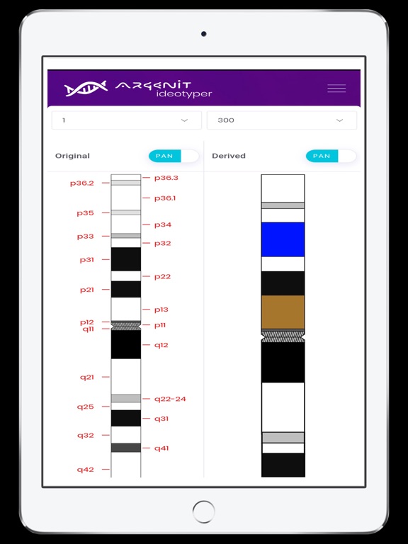 Screenshot #5 pour ideotyper