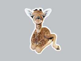 Text someone you love with the cutest stickers on the app store