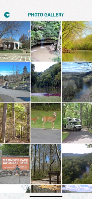 Mammoth Cave National Park(圖4)-速報App