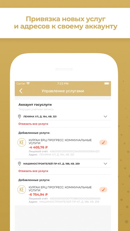 Регион 45: Курганская область screenshot-6