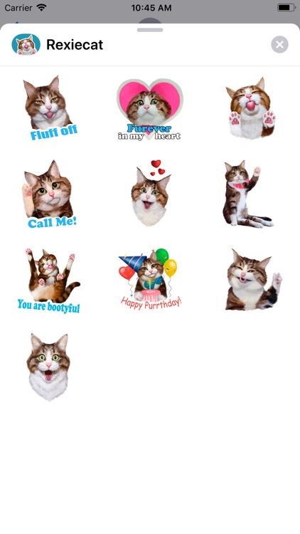 Cute Cat Stickers – molonado
